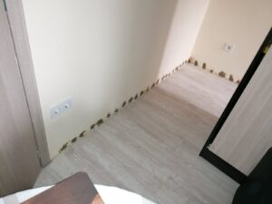 utolagos-falszigeteles-2021-16