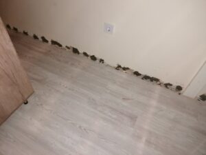 utolagos-falszigeteles-2021-18