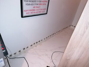 utolagos-falszigeteles-2021-19