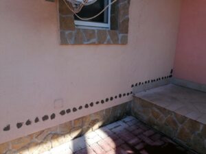 Vizszigeteles-2021-12-05